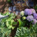 Effective Water Conservation Techniques for a Sustainable Garden