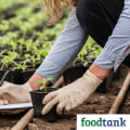 Understanding the Role of Soil Health in Sustainable Gardening Practices