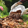 The Benefits of Mulch in Sustainable Gardening Practices