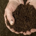 The Essential Role of Composting in Promoting Soil Health for Sustainable Gardening