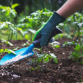 The Advantages of Organic Fertilizers in Sustainable Gardening