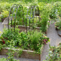 Utilizing Raised Beds for Sustainable Gardening Practices