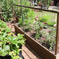 Effective Strategies for Reducing Waste in Your Sustainable Garden