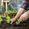 Incorporating Composting into Sustainable Garden Practices for a Greener Future
