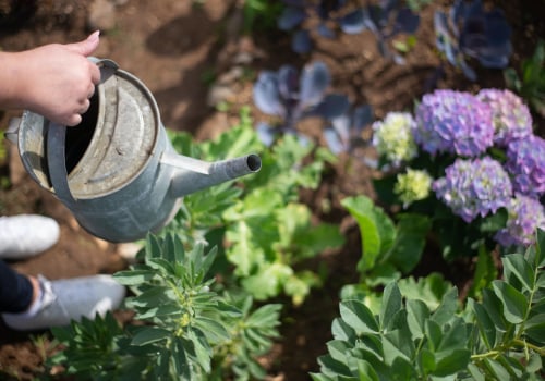 Effective Water Conservation Techniques for a Sustainable Garden