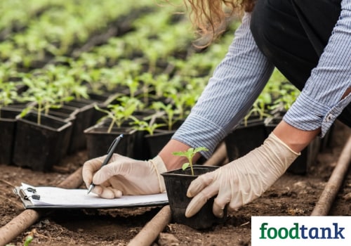 Understanding the Role of Soil Health in Sustainable Gardening Practices