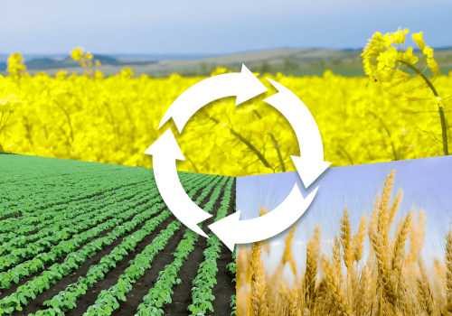 The Role of Crop Rotation in Sustainable Gardening: Preventing Soil Erosion