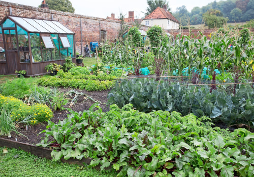 Implementing Crop Rotation for a Thriving Sustainable Garden