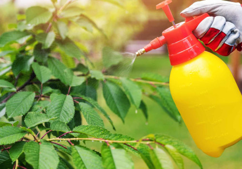 Harnessing Natural Pest Control for a Thriving Sustainable Garden