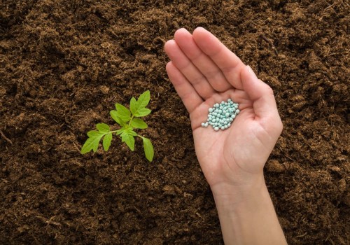 Harnessing Natural Fertilizers for Sustainable Gardening Success
