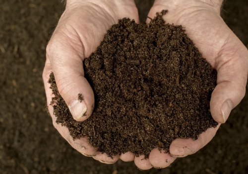 The Essential Role of Composting in Promoting Soil Health for Sustainable Gardening