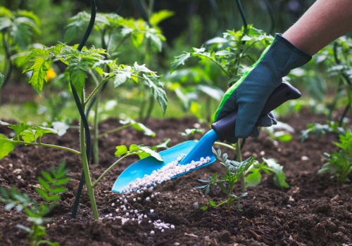 The Advantages of Organic Fertilizers in Sustainable Gardening