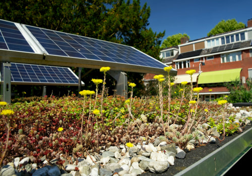 Harnessing Solar Power for Sustainable Garden Practices
