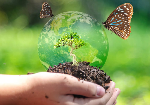 Understanding the Importance of Biodiversity in Sustainable Gardening