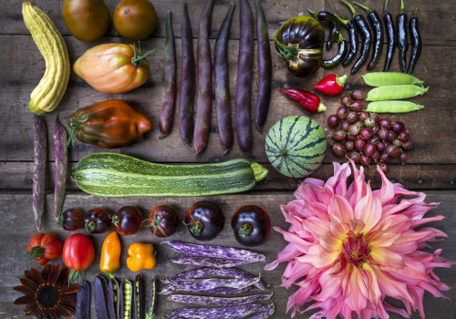 The Role of Heirloom Seeds in Promoting Sustainable Gardening Practices