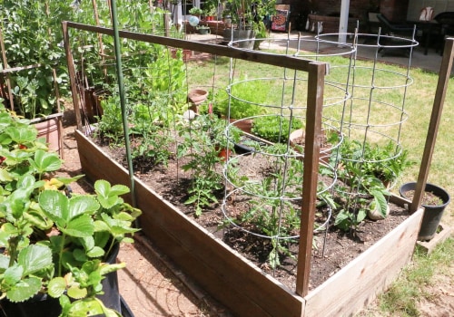 Effective Strategies for Reducing Waste in Your Sustainable Garden