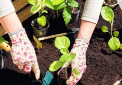 Embracing Sustainable Garden Practices for a Greener Future