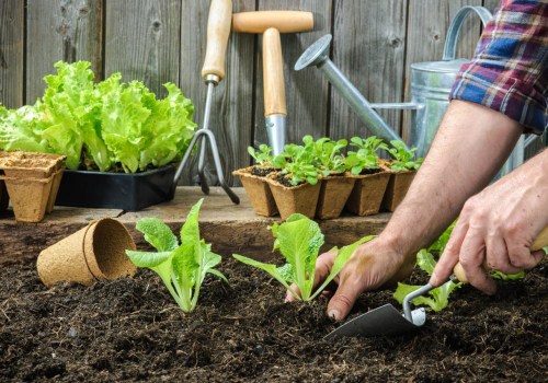 Incorporating Composting into Sustainable Garden Practices for a Greener Future